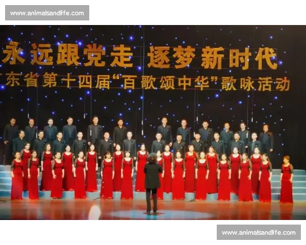 班级歌唱比赛活动策划方案与实施计划的详细安排与组织指导