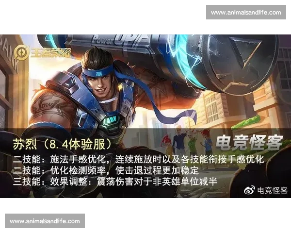 电竞专项训练体系构建与技能提升方法研究探索