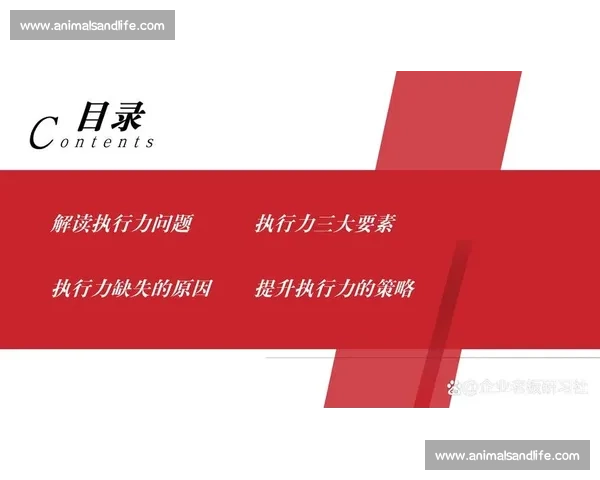 体育团队协作与执行力提升的系统策略研究与实践探索
