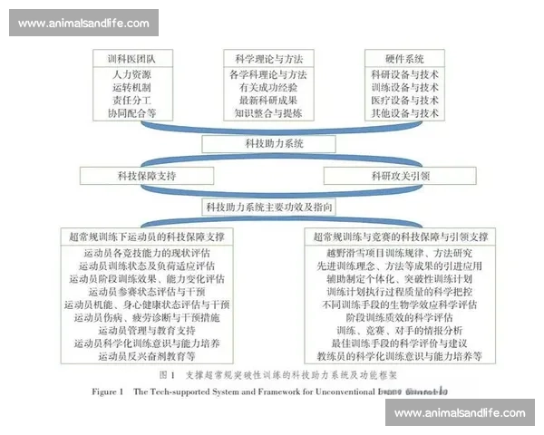 体育科学视角下运动训练方法优化与竞技表现提升研究