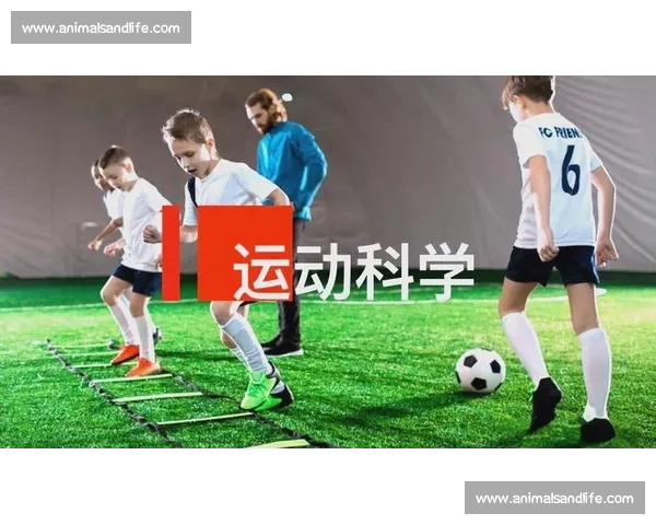 基于科学方法提升青少年体育运动训练效果与健康发展的综合路径研究 基于科学方法提升青少年体育运动训练效果与健康发展的综合路径研究