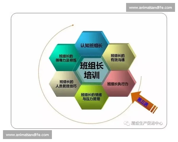 提升体育团队协作与执行力实现整体竞技效率的策略研究 提升体育团队协作与执行力实现整体竞技效率的策略研究