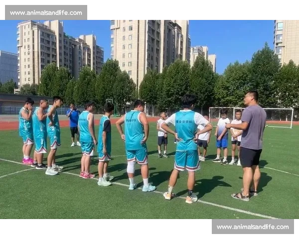 激烈对抗与团队协作融合的国际手球锦标赛盛况