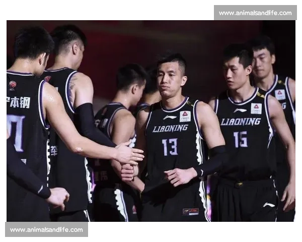《龙珠直播带你畅享足球盛宴精彩对决尽在掌握》 《龙珠直播带你畅享足球盛宴精彩对决尽在掌握》
