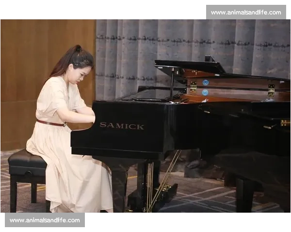 三益钢琴比赛:探索音乐之美与才华的顶级盛会 三益钢琴比赛:探索音乐之美与才华的顶级盛会
