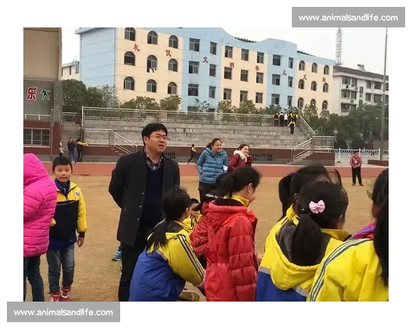 五小比赛:激发少年运动潜能 提升团队协作与个人技能的全新挑战 五小比赛:激发少年运动潜能 提升团队协作与个人技能的全新挑战