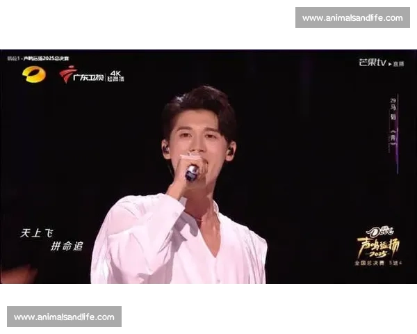 唱响梦想舞台 超越音符极限 展现无畏风采 引爆歌声狂潮 唱响梦想舞台 超越音符极限 展现无畏风采 引爆歌声狂潮