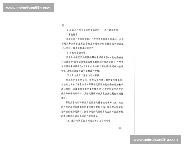 小荷风采比赛时间安排与活动细则全解析