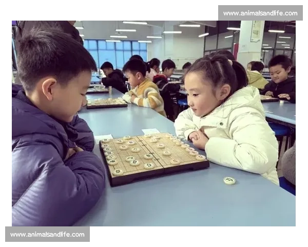 徐州象棋比赛精彩瞬间汇聚棋艺对决与智慧较量盛况