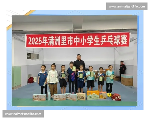 廊坊赛事精彩纷呈 各路选手角逐激烈展现体育精神