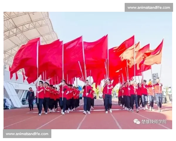 湾区琴韵汇鹏城深圳古筝比赛展少年风采传承国乐新声绽放时代华彩