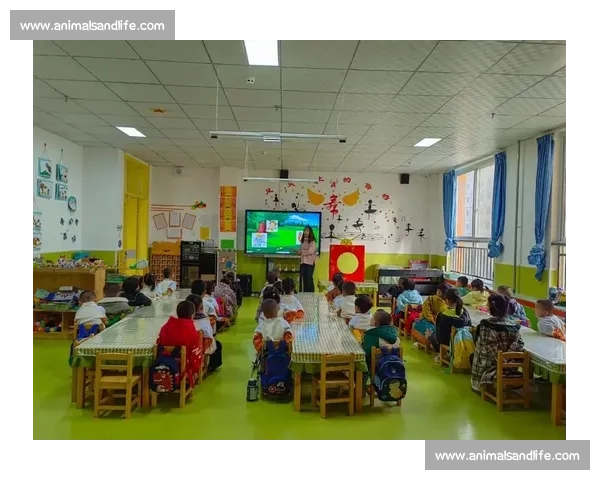用心点亮未来，优秀幼师的成长与故事分享