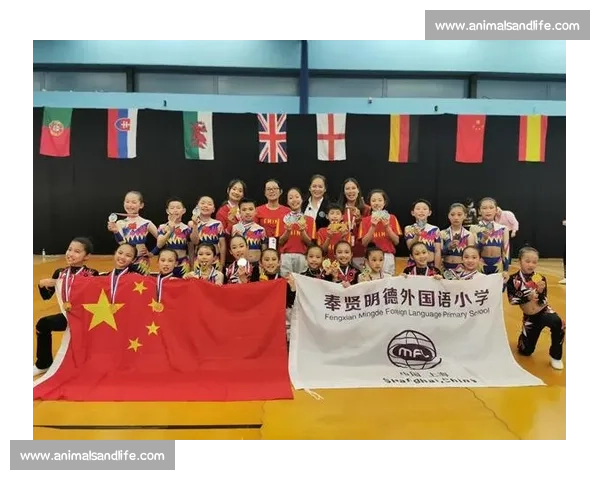 竞技健美操比赛场地布局与设计探讨如何提升比赛效果与观众体验