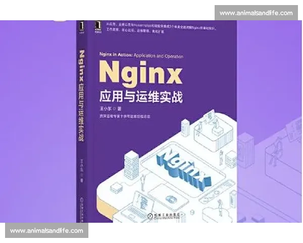 篮球速度提升专项训练方法与实战应用全解析