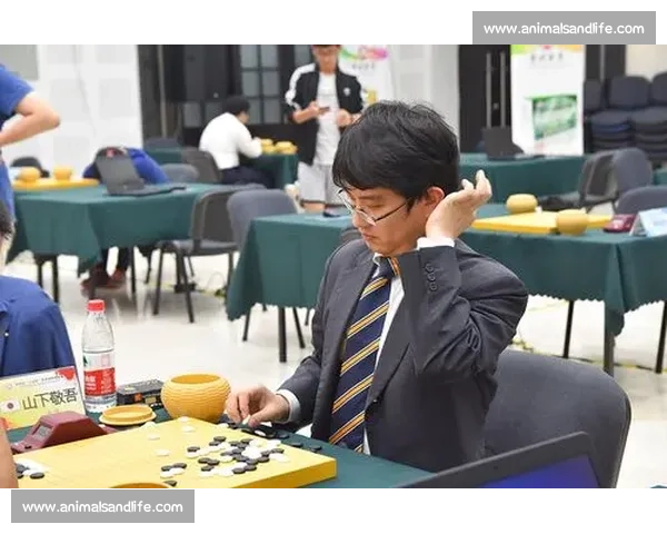 百灵杯围棋赛激战正酣顶尖棋手巅峰对决全纪录