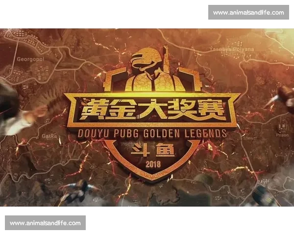 绝地求生斗鱼职业联赛最新分组赛程全面解析