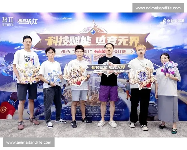 虚荣比赛激烈对决荣耀之巅谁能问鼎王者巅峰争霸赛精彩回顾