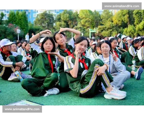 青春旋律点亮舞台激情歌声汇聚梦想校园歌唱比赛精彩纪实全景报道